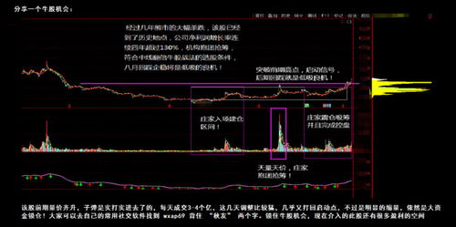 盘点科技内循环半导体龙头名单 建议收藏